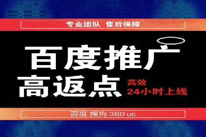 SEM搜索引擎优化案例：如何提升网站流量和转化率